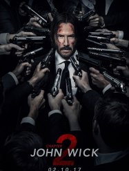 John Wick Chapter 2 (2017)