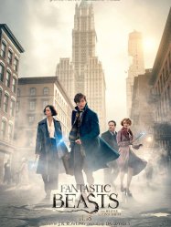 Fantastic Beasts and Where to Find Them (2016)