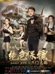 Stunning Bodyguard 2017