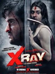 X Ray; The Inner Image [2019]