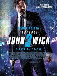 John Wick Chapter 3 Parabellum (2019)