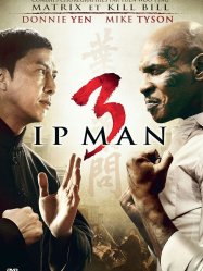 IP Man 3 (2015)